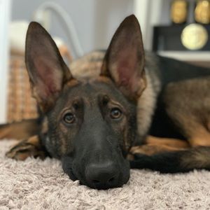 Meet your Posher, Jackie